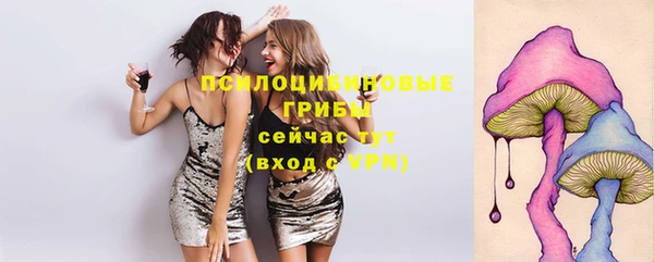 дурь Богородицк