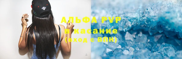 прущий лед Богданович