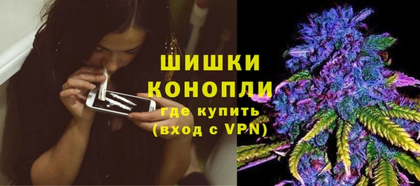 прущий лед Богданович