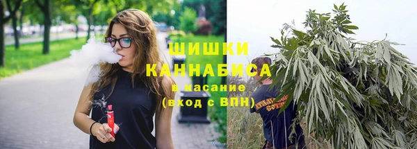 прущий лед Богданович
