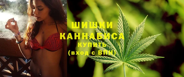 прущий лед Богданович