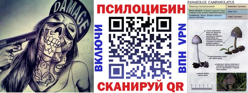 Псилоцибиновые грибы Psilocybine cubensis  Бородино 